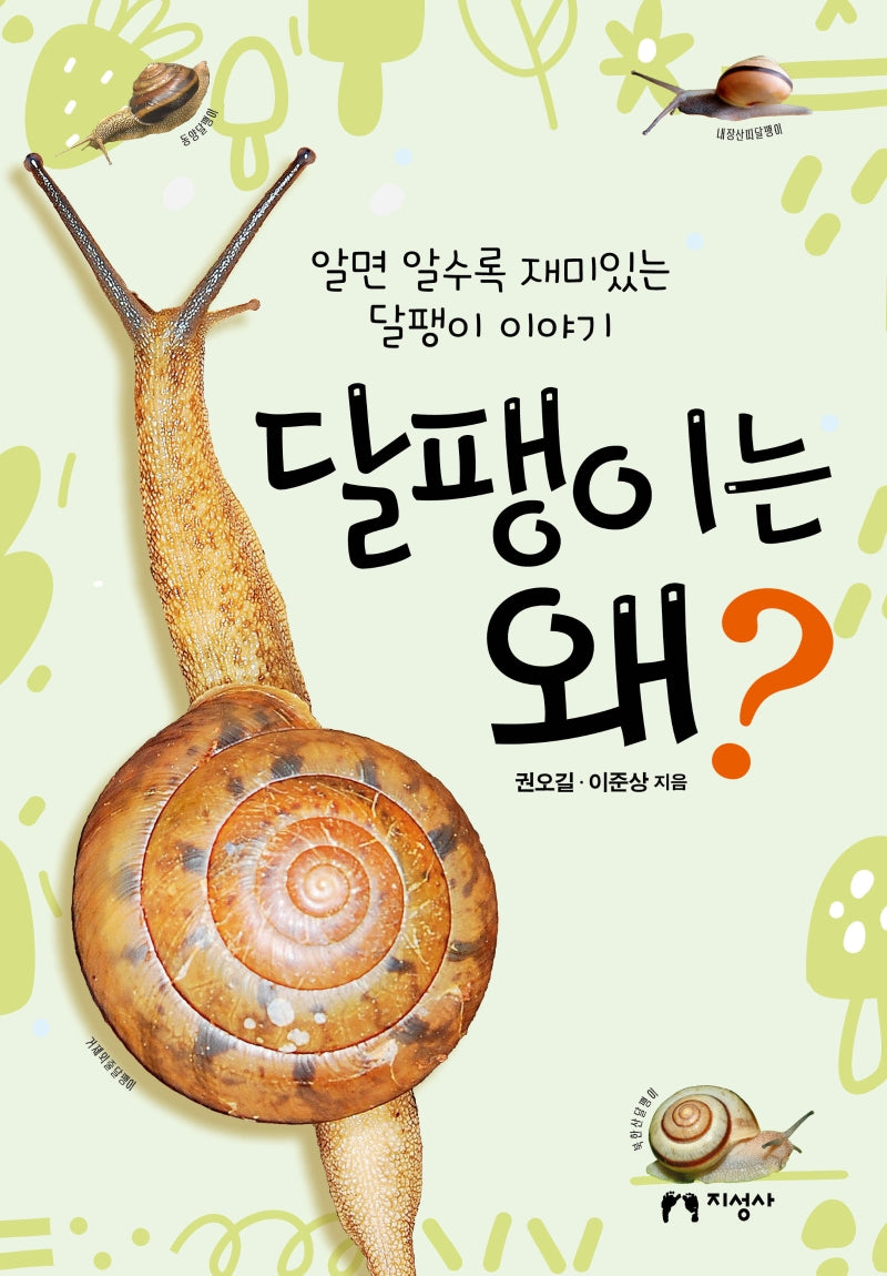 달팽이는 왜?