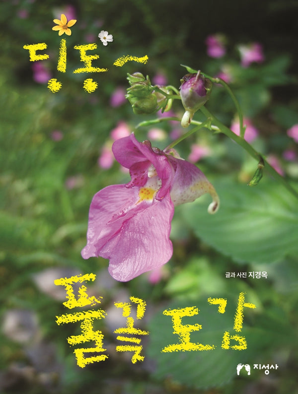 딩동~ 풀꽃 도감