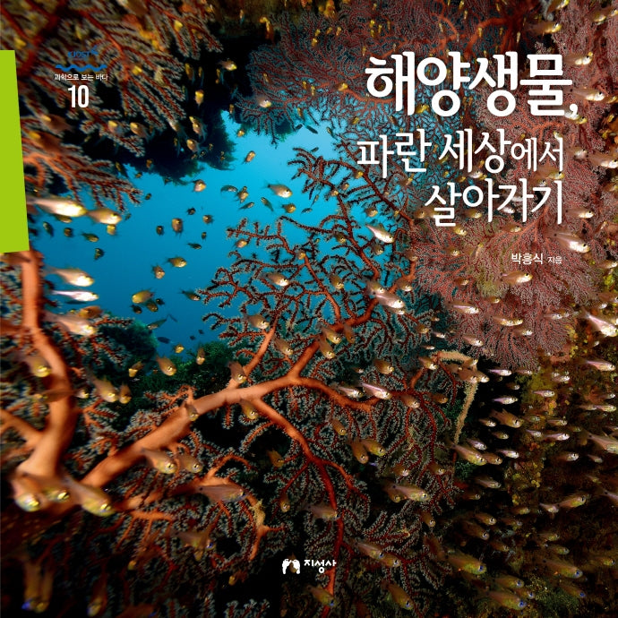 해양생물, 파란 세상에서 살아가기(과학으로 보는 바다 10)