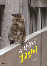사람동네 길고양이