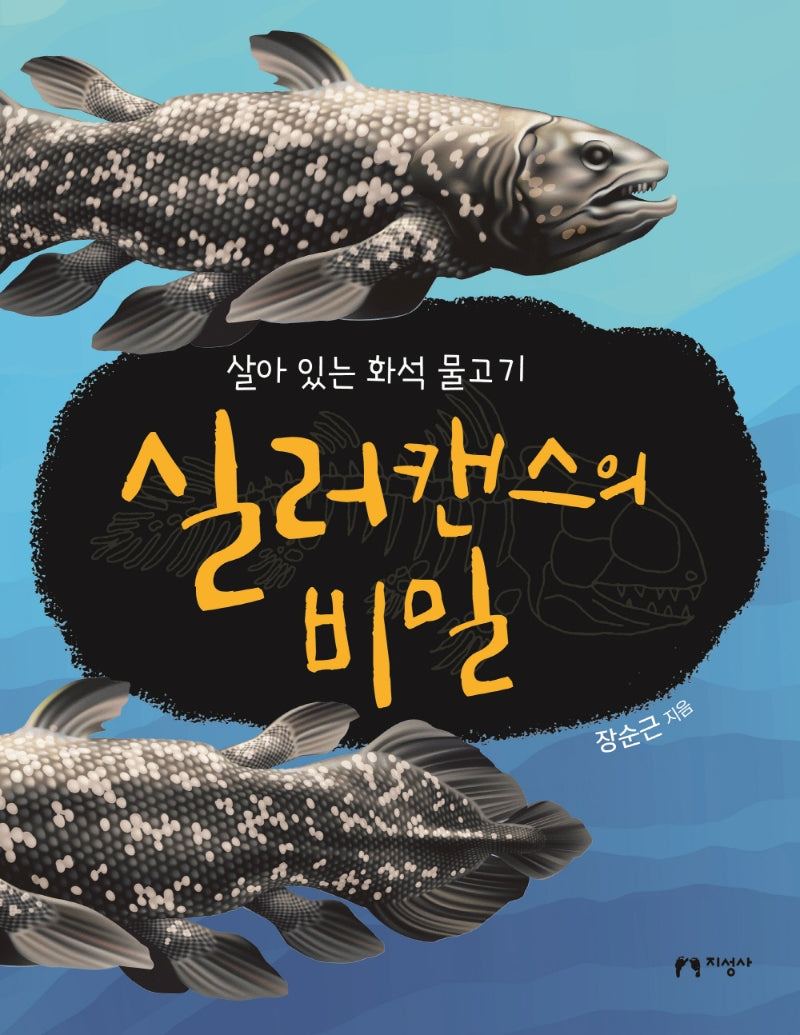 실러캔스의 비밀