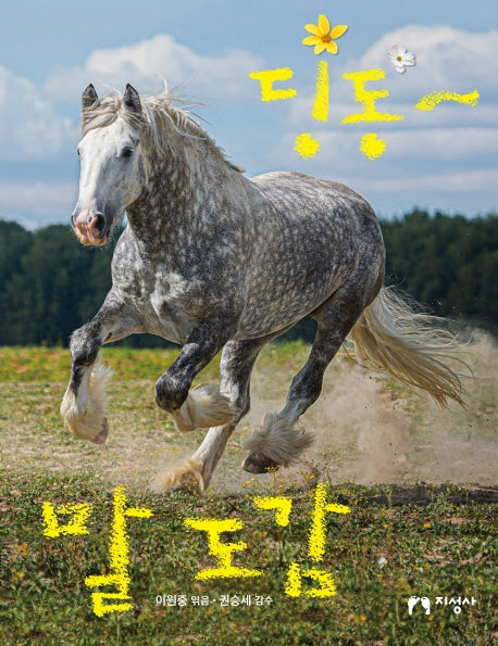 딩동~ 말 도감