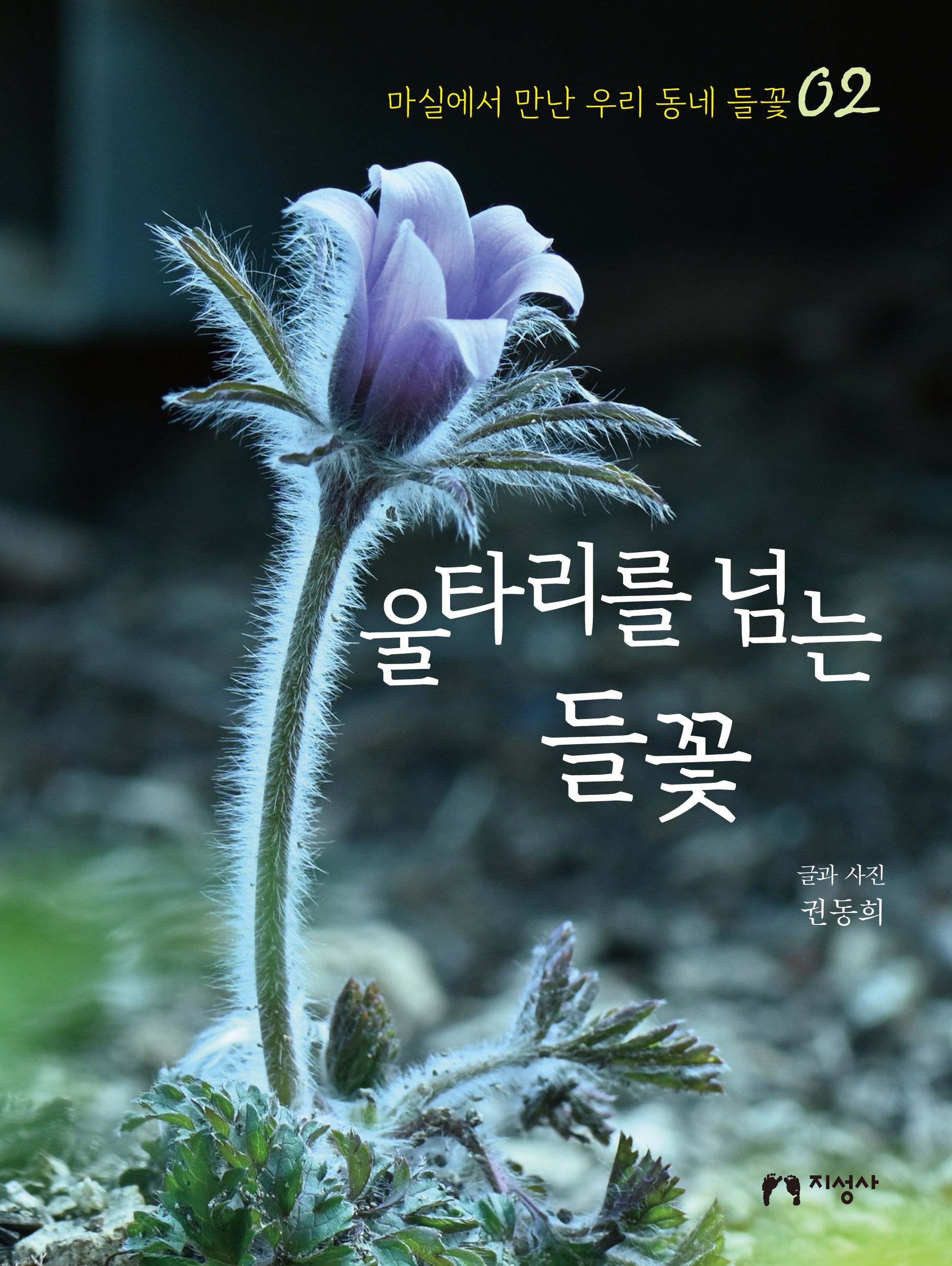 울타리를 넘는 들꽃(마실에서 만난 우리 동네 들꽃 2)