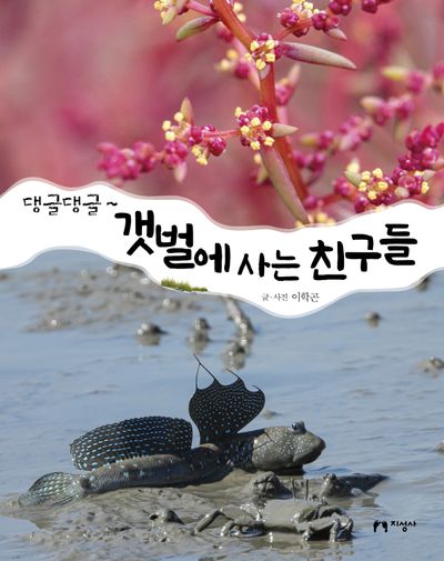 댕글 댕글~ 갯벌에 사는 친구들(댕글댕글 시리즈 6)(양장본 Hardcover)