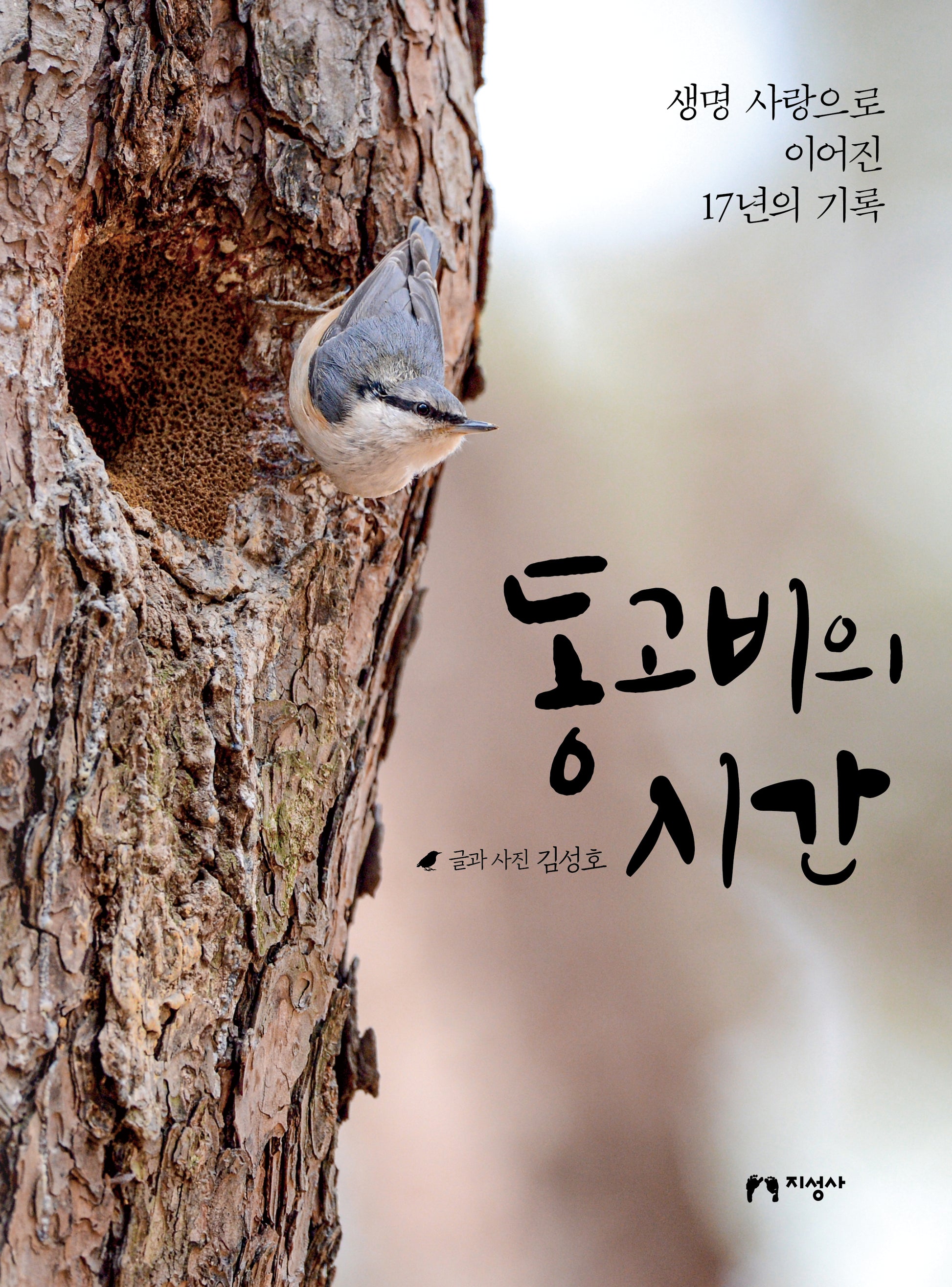 동고비의 시간