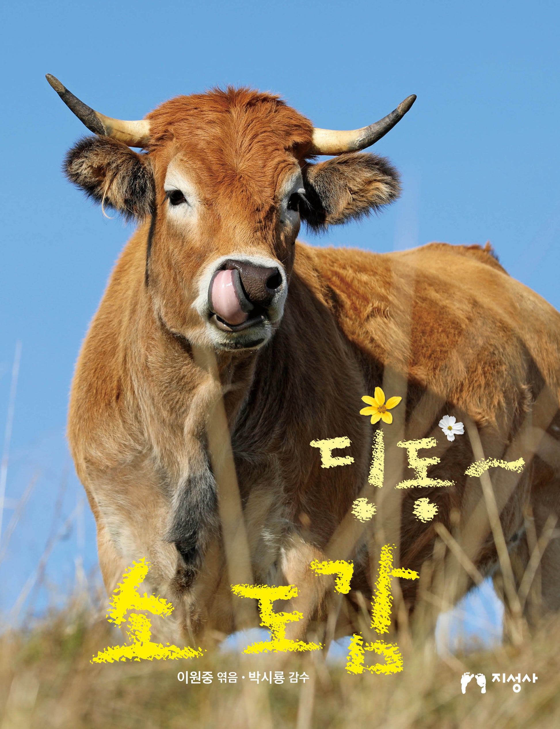 딩동~ 소 도감