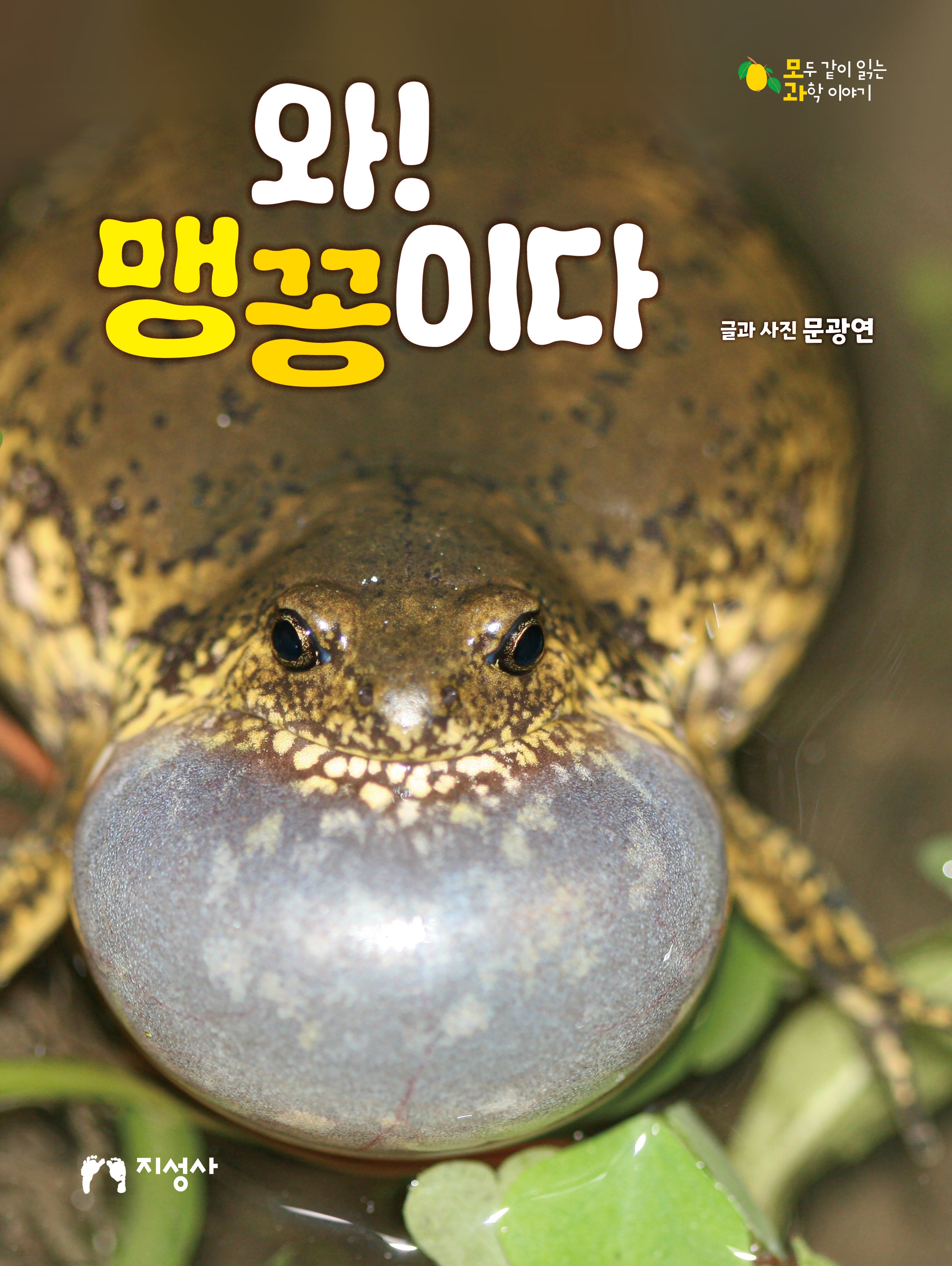 와! 맹꽁이다(모두 같이 읽는 과학이야기)