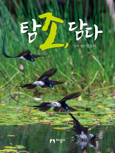 탐조, 담다(양장본 Hardcover)