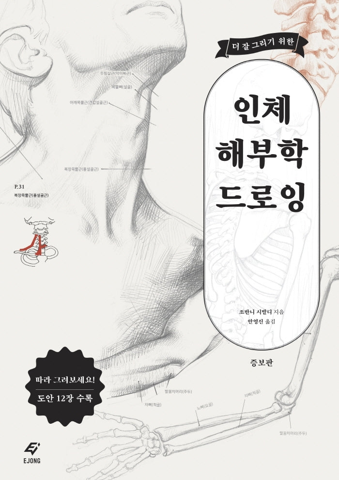 인체 해부학 드로잉(더 잘 그리기 위한)