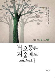 벽오동은 겨울에도 푸르다