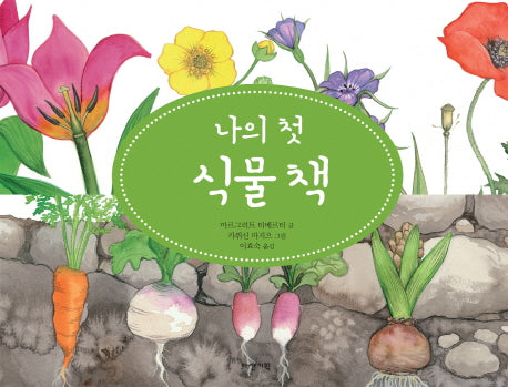 나의 첫 식물 책(다산지식그림책 2)(양장본 HardCover)