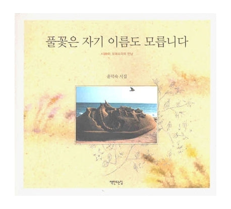풀꽃은 자기 이름도 모릅니다