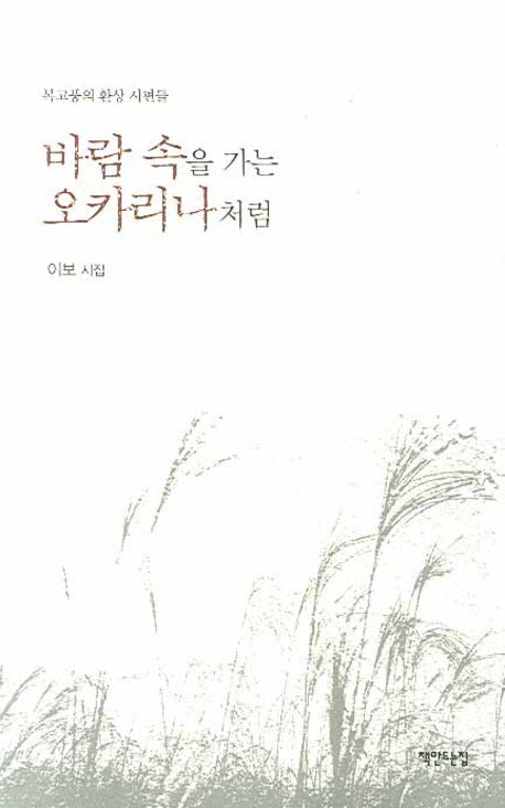 바람 속을 가는 오카리나처럼(양장본 HardCover)