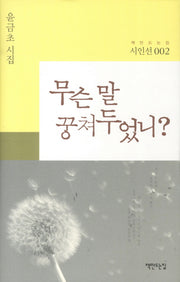 무슨 말 꿍쳐두었니(책만드는집 시인선 2)(양장본 HardCover)