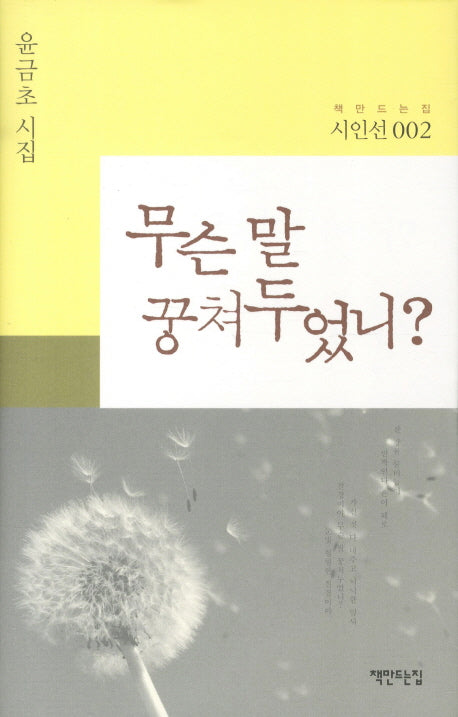 무슨 말 꿍쳐두었니(책만드는집 시인선 2)(양장본 HardCover)