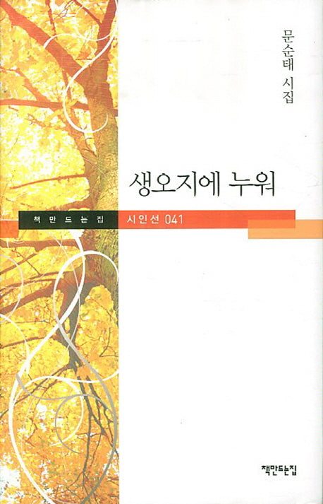 생오지에 누워(책만드는집 시인선 41)(양장본 HardCover)