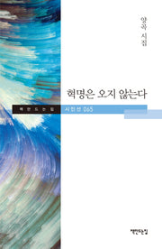 혁명은 오지 않는다(책만드는집 시인선 65)