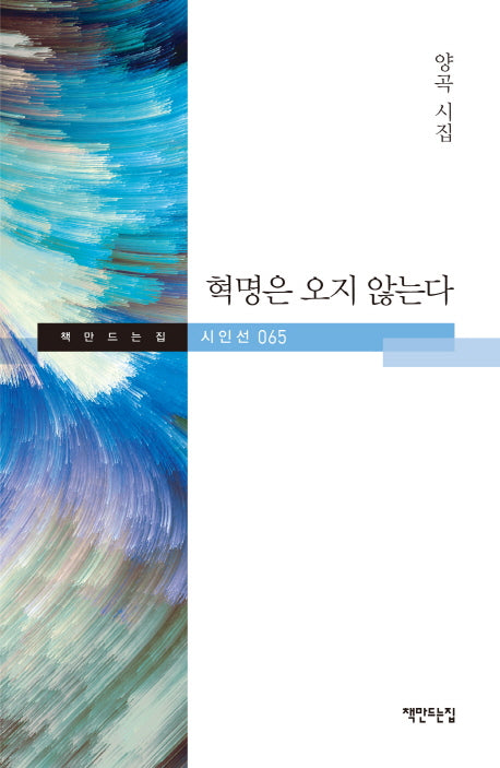 혁명은 오지 않는다(책만드는집 시인선 65)