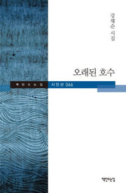 오래된 호수(책만드는집 시인선 66)