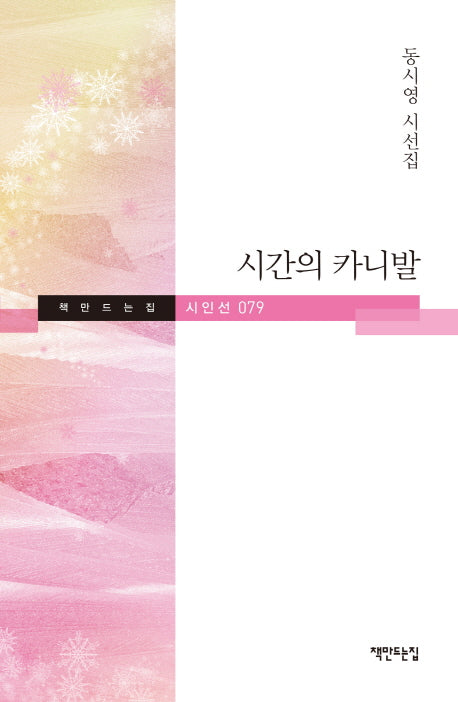 시간의 카니발(책만드는집 시인선 79)