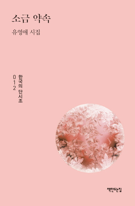 소금 약속(한국의 단시조 12)(양장본 HardCover)