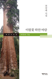 이팝꽃 하얀 바람(책만드는집 시인선 116)(양장본 HardCover)