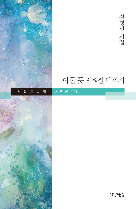 아물 듯 지워질 때까지(책만드는집 시인선 120)