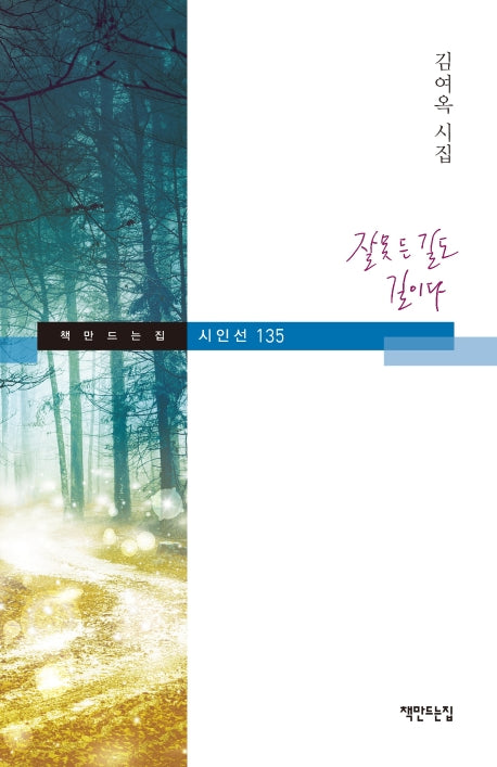 잘못 든 길도 길이다(책만드는집 시인선 135)