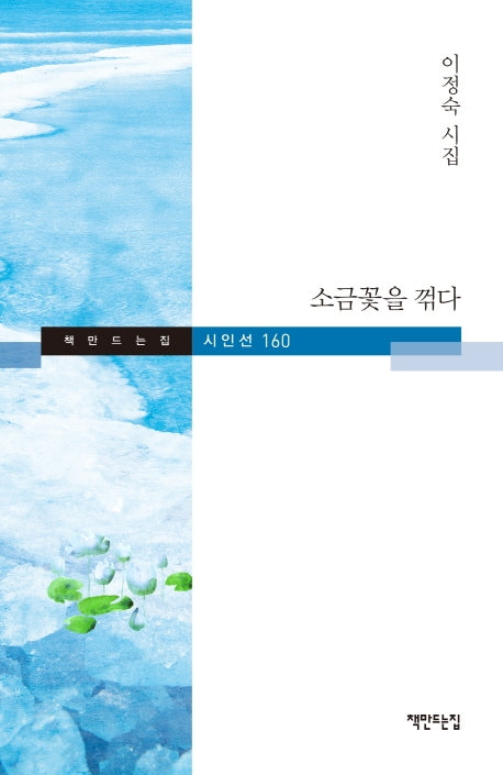 소금꽃을 꺾다(책만드는집 시인선 160)