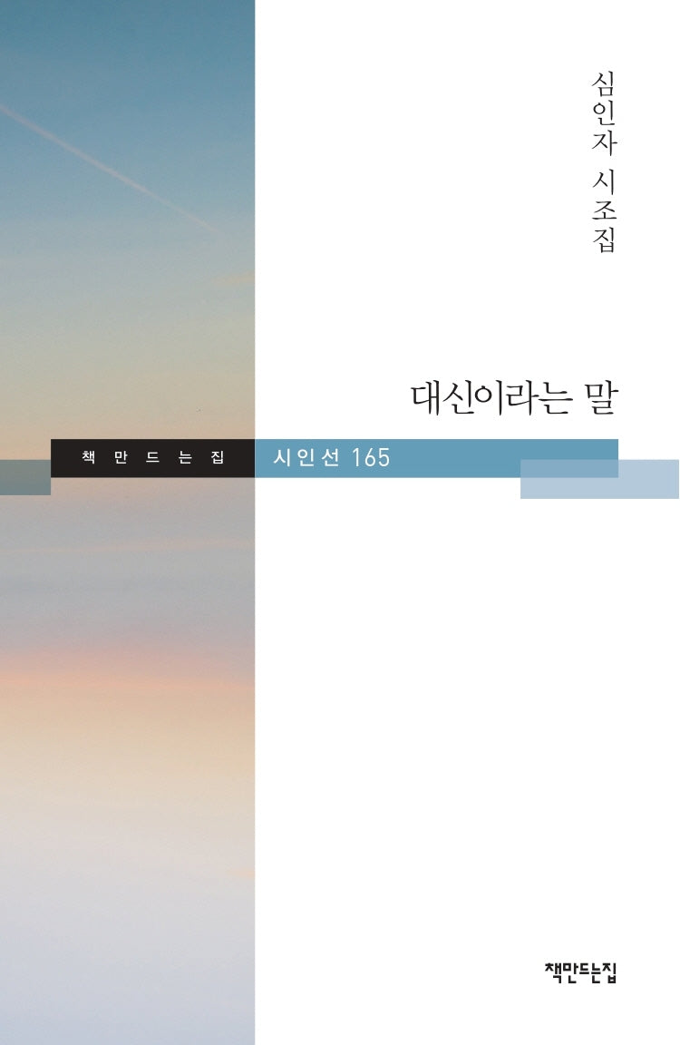 대신이라는 말(책만드는집 시인선 165)