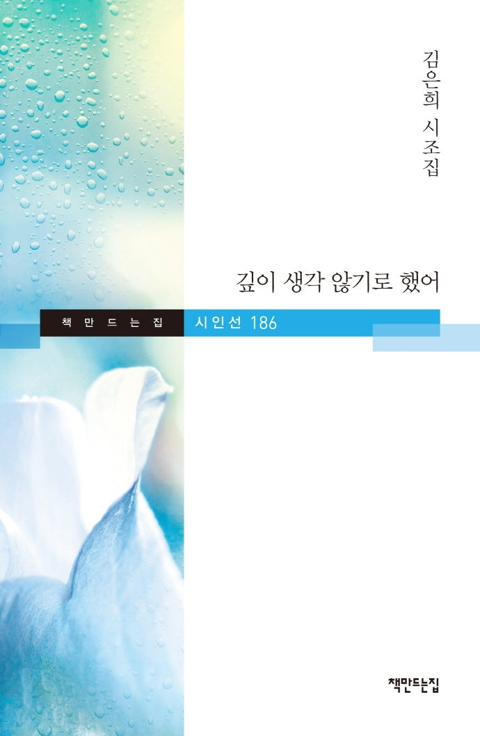 깊이 생각 않기로 했어(시인선 186)
