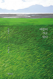 바람이 가고 있다(양장본 HardCover)
