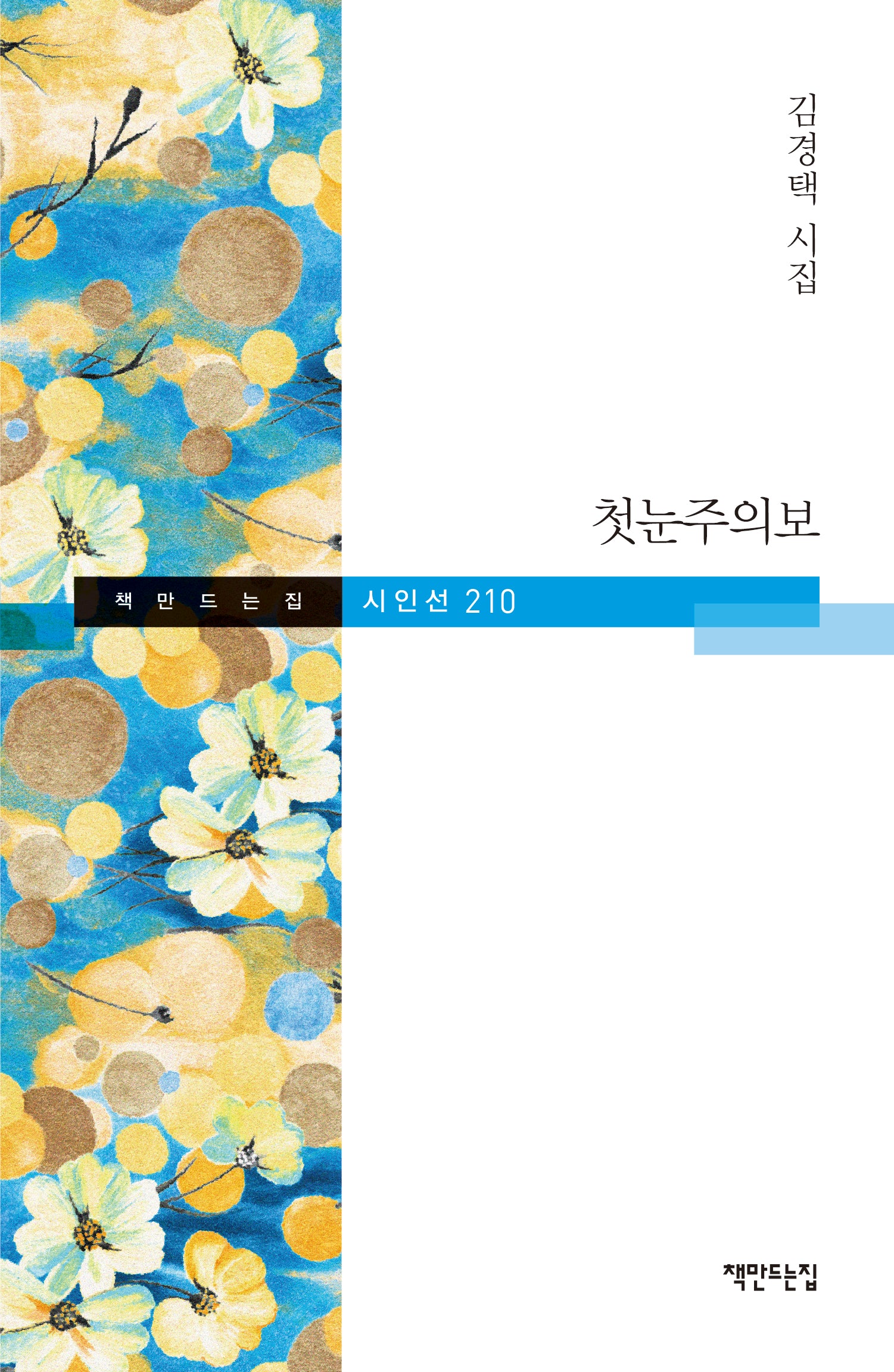 첫눈주의보(책만드는집 시인선 210)