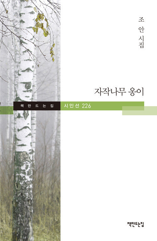 자작나무 옹이(책만드는집 시인선 226)