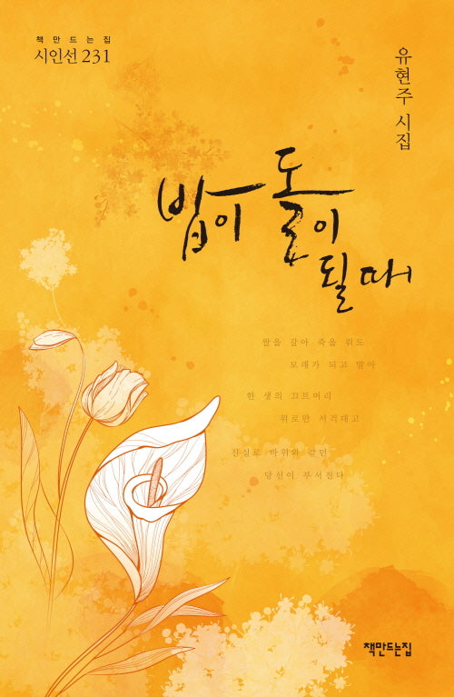 밥이 돌이 될 때(책만드는집 시인선 231)