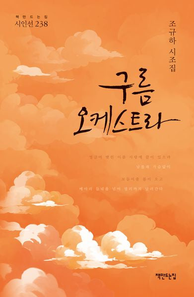 구름 오케스트라(시인선 237)