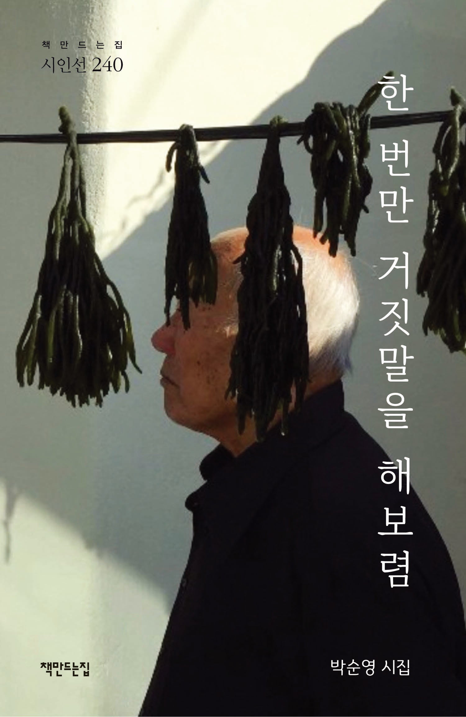 한 번만 거짓말을 해보렴(시인선 240)