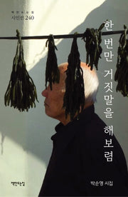 한 번만 거짓말을 해보렴(시인선 240)