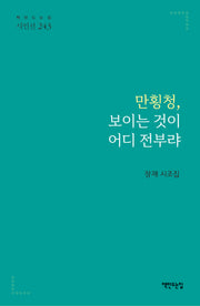 만횡청, 보이는 것이 어디 전부랴(시인선 243)