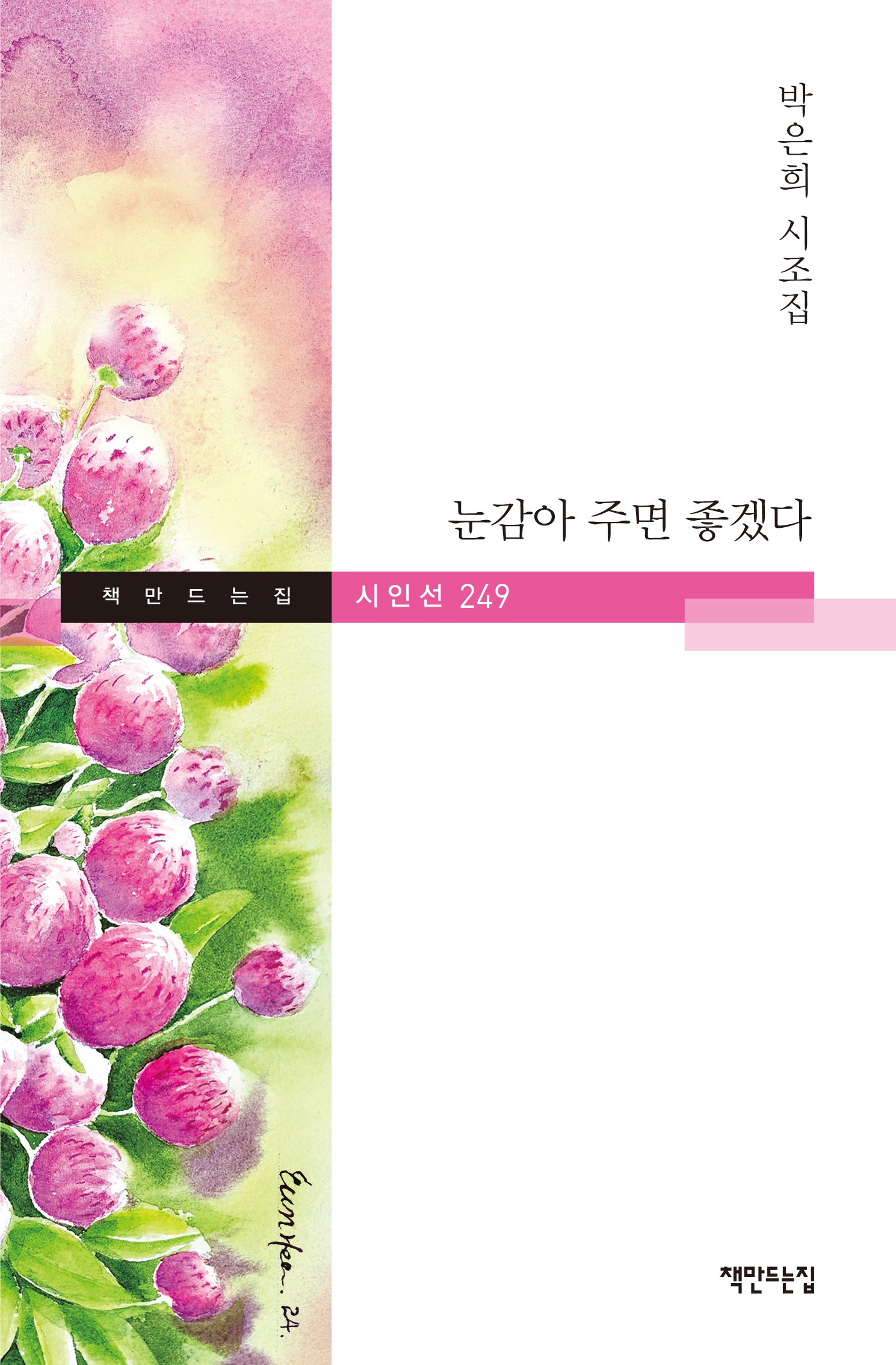 눈감아 주면 좋겠다(책만드는집 시인선 249)(양장본 Hardcover)
