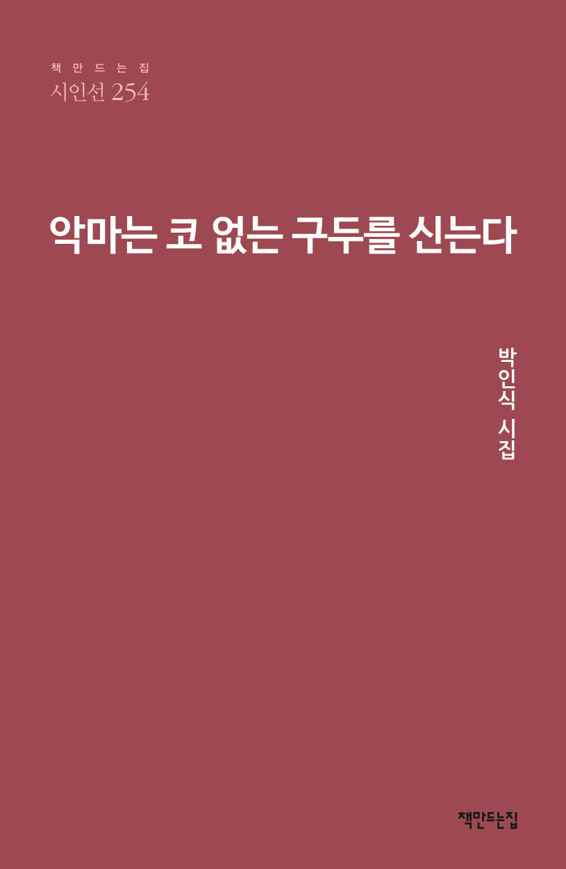 악마는 코 없는 구두를 신는다(책만드는집 시인선 254)