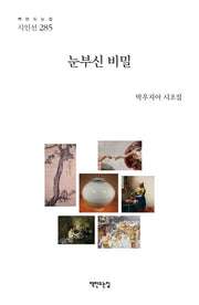 눈부신 비밀(책만드는집 시인선 285)