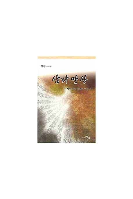 삼라만상(문학세계대표작가선 541)