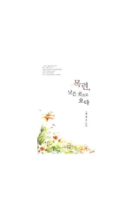 목련 낮은 곳으로 오다