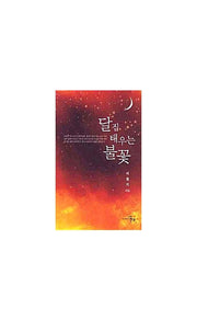 달집 태우는 불꽃