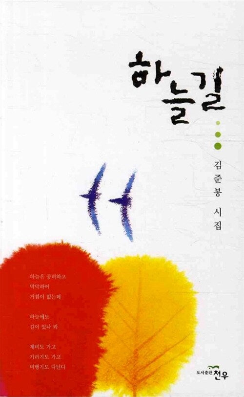 하늘길(문학세계대표작가선 613)