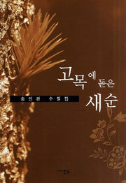 고목에 돋은 새순(문학세계대표작가선 630)