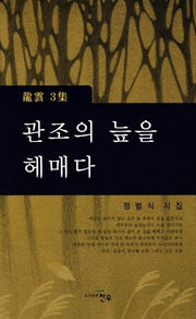 관조의 늪을 헤매다(문학세계대표작가선 638)