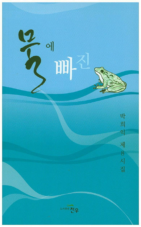 물에 빠진 개구리(문학세계대표작가선 725)