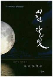 시린 달빛(문학세계대표작가선 733)